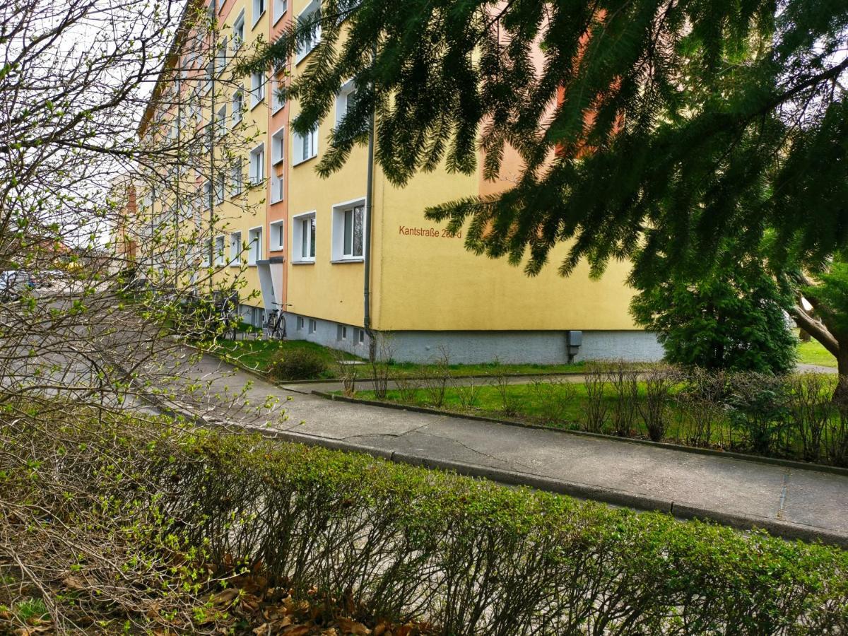 Ferien-Und Gaestewohnung Радебойль Екстер'єр фото